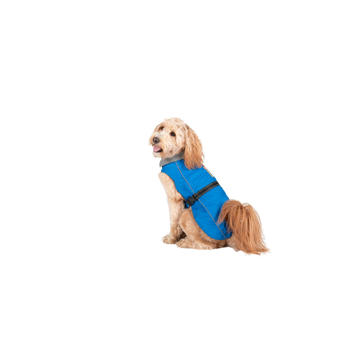 Dog raincoat Dog Gone Smart Blue 35 cm Dog Gone Smart