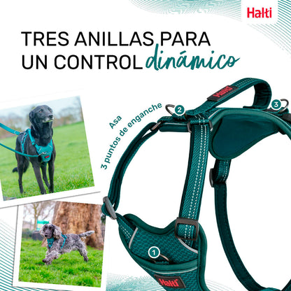 Dog Harness Company of Animals Turquoise XS 20-32 cm Company of Animals