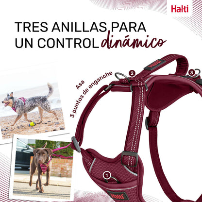 Dog Harness Company of Animals Burgundy XS 20-32 cm Company of Animals