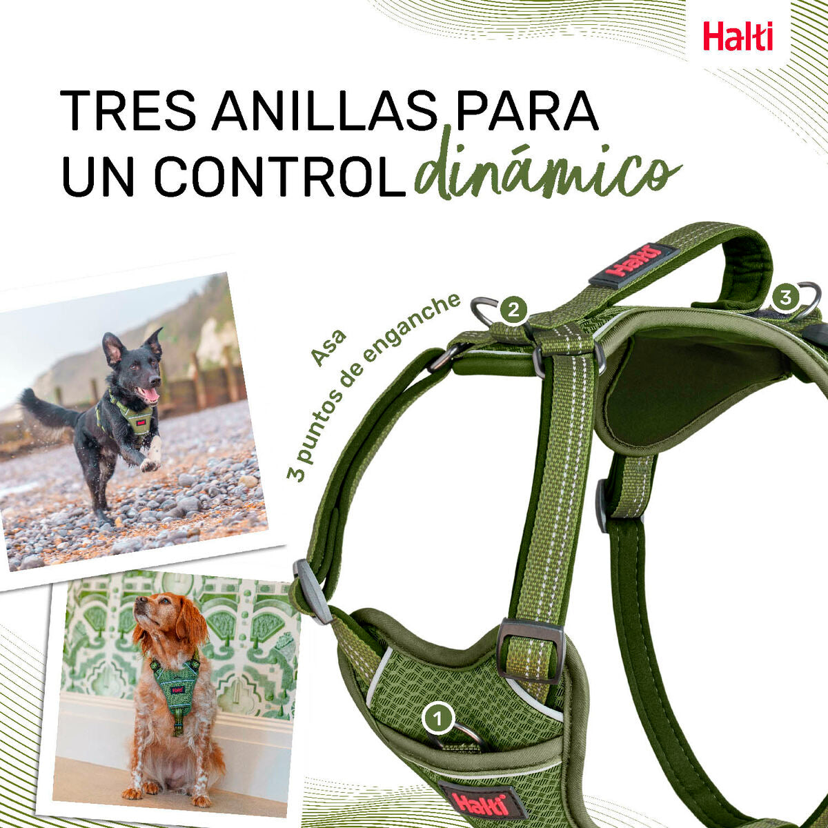 Dog Harness Company of Animals Green XS 20-32 cm Company of Animals