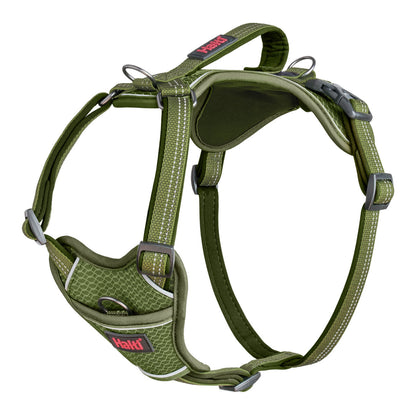 Dog Harness Company of Animals Green M 35-55 cm Company of Animals