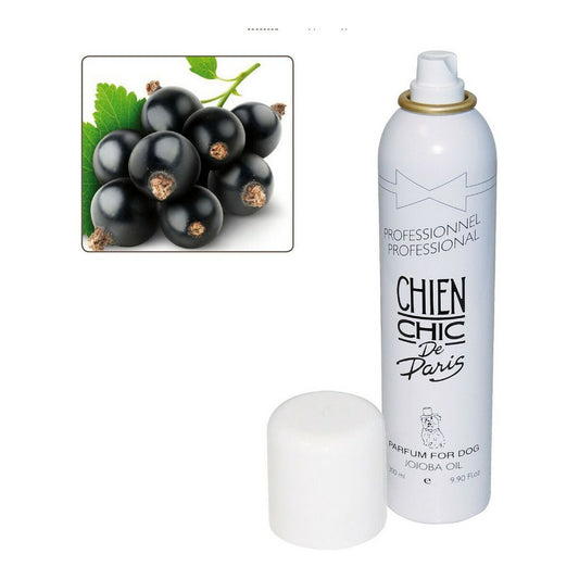 Perfume for Pets Chien Chic Dog Spray Redcurrant (300 ml) Chien Chic