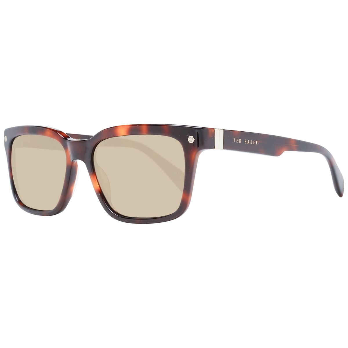 Men's Sunglasses Ted Baker TB1696 54101 Ted Baker