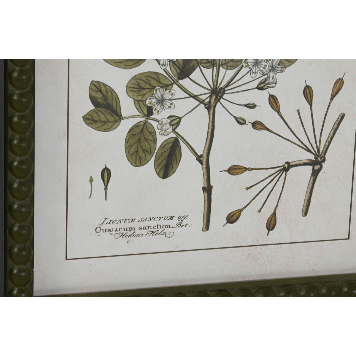 Painting Home ESPRIT Green Beige Shabby Chic Botanical plants 30 x 2,5 x 40 cm (4 Units) Home ESPRIT