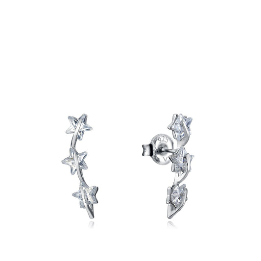 Ladies' Earrings Viceroy 13003E000-30