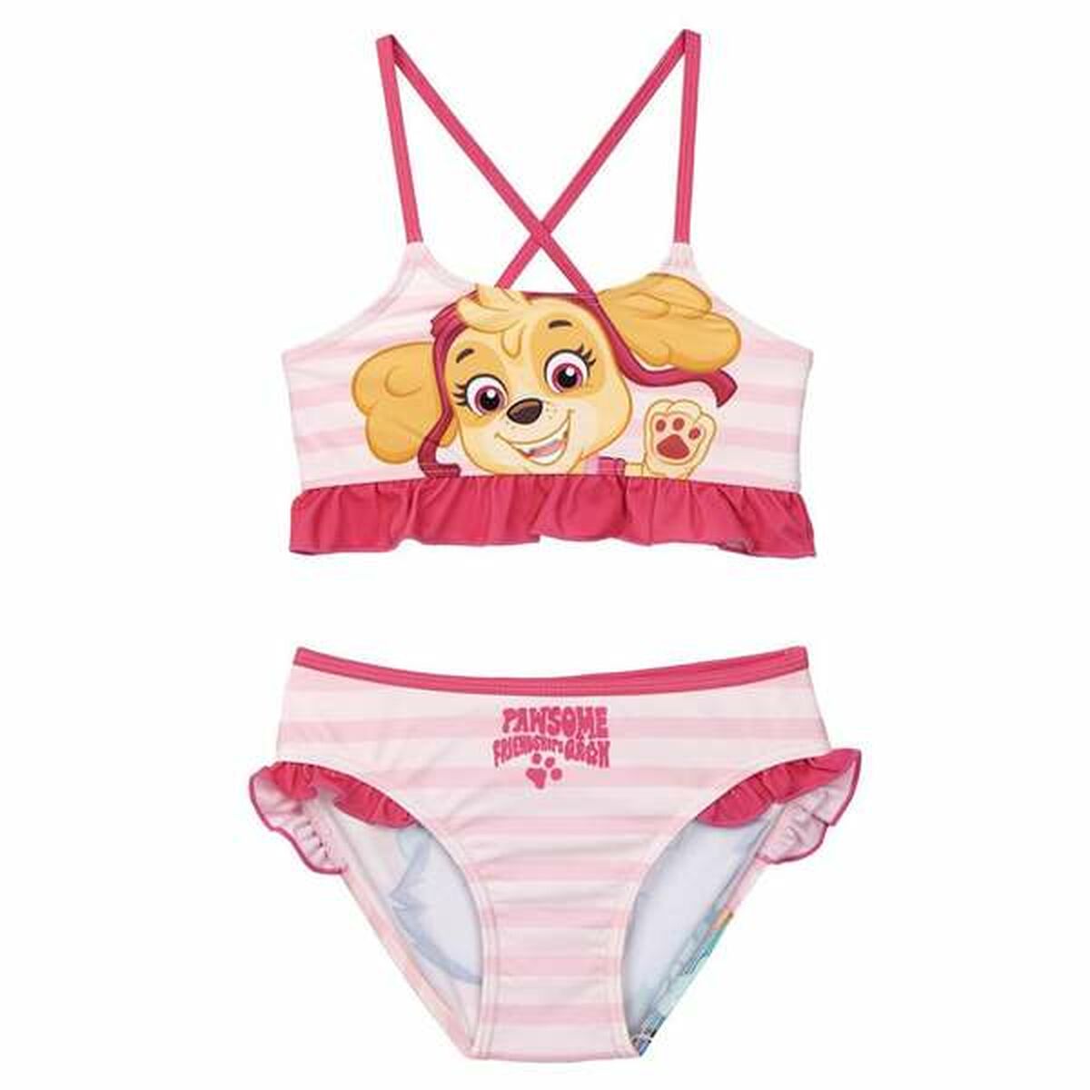 Bikini Die Paw Patrol