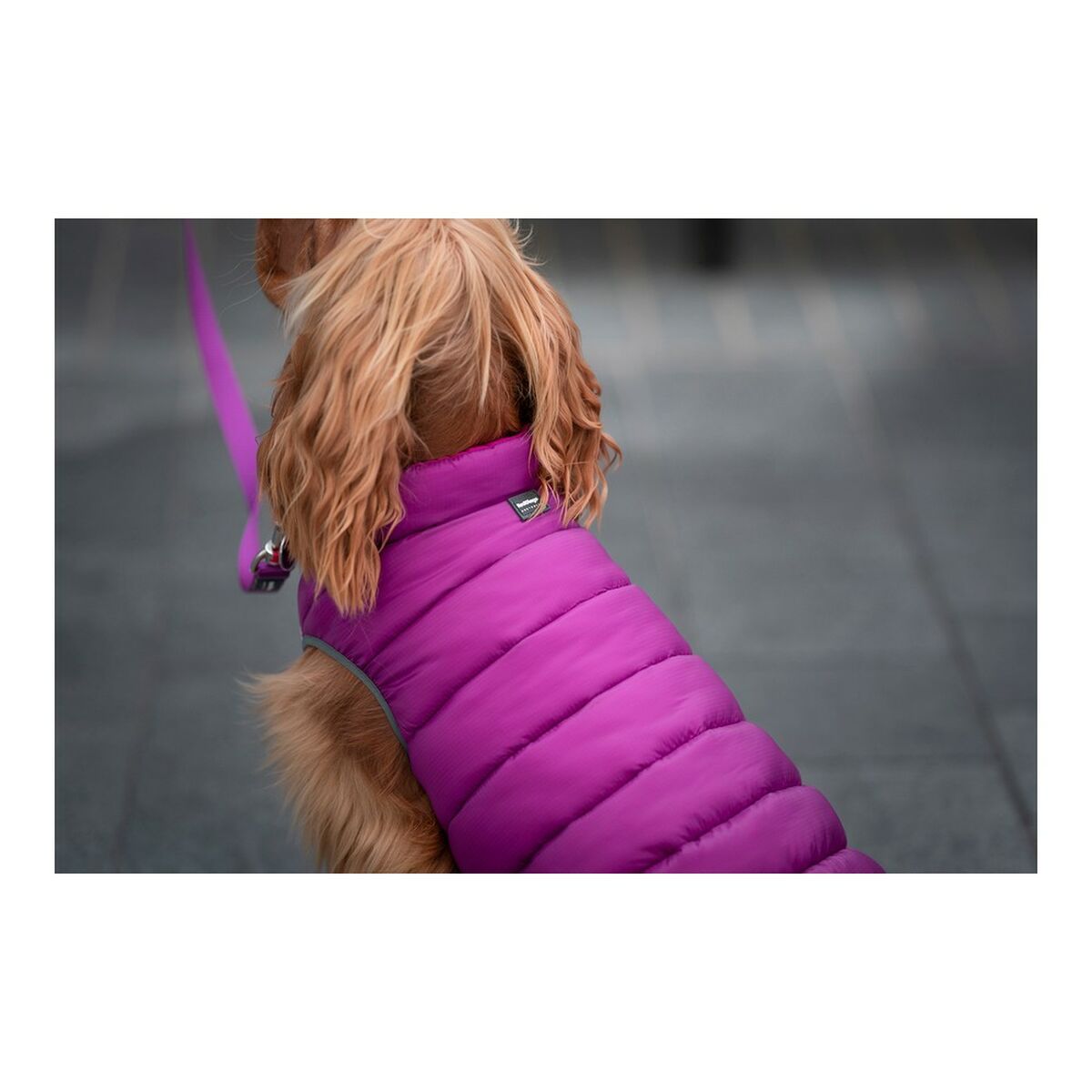 Dog Coat Red Dingo Puffer Pink/Purple 40 cm Red Dingo